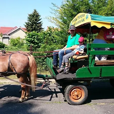 Park Panzio Es Etterem Guest house Asvanyraro