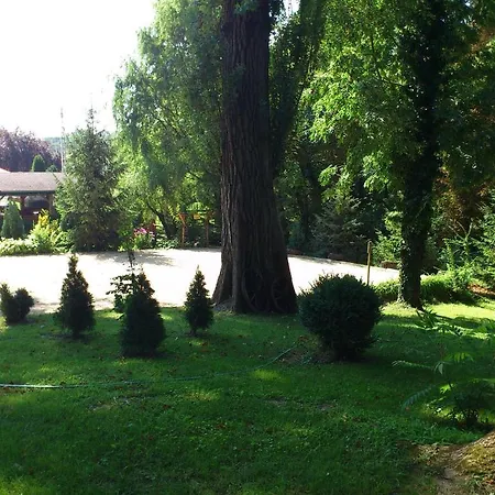 Park Panzio Es Etterem Guest house *