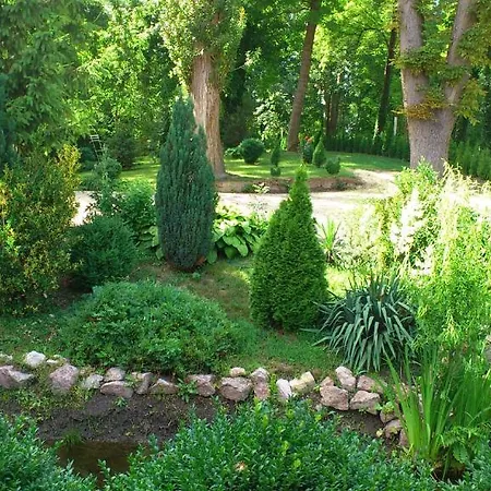 Park Panzio Es Etterem Guest house Asvanyraro