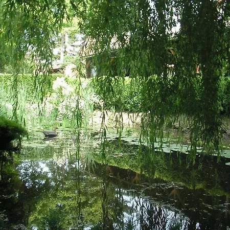 Park Panzio Es Etterem Guest house Asvanyraro