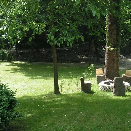 Guest house Park Panzio Es Etterem Asvanyraro