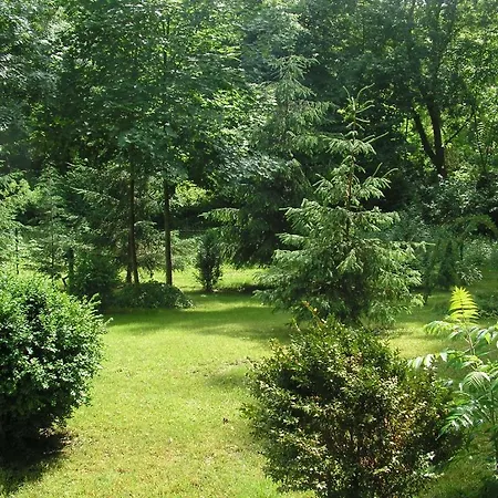 Park Panzio Es Etterem Asvanyraro