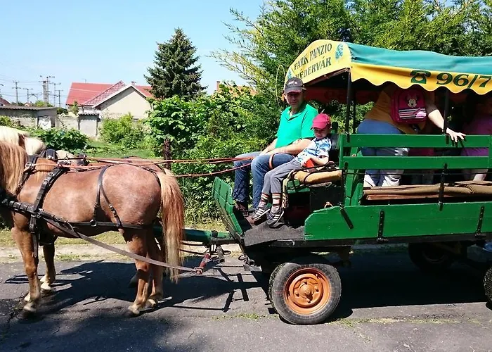 Park Panzio Es Etterem Pensionat Asvanyraro