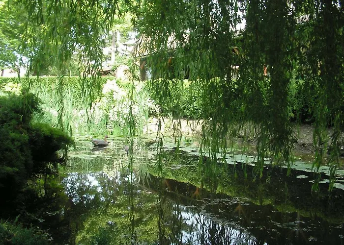Park Panzio Es Etterem Pensionat Asvanyraro