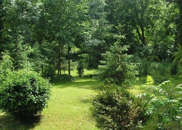 Park Panzio Es Etterem Asvanyraro